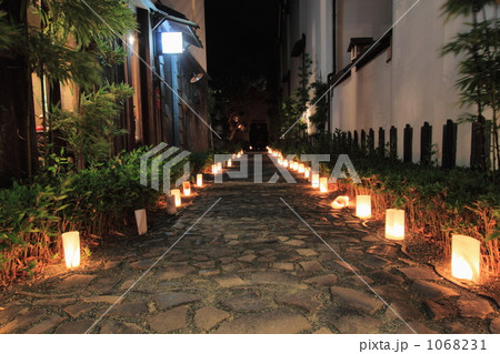 八幡掘ライトアップ 八幡掘ライトアップ 1068231