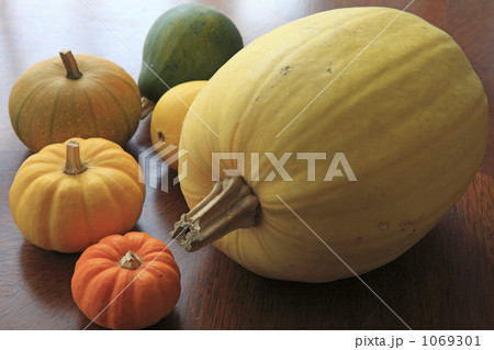 ソウメンカボチャとオモチャカボチャ ソウメンカボチャとオモチャカボチャ 1069301