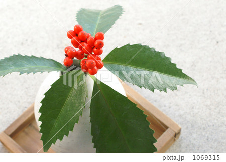 千両(横位置) 千両(横位置) 1069315