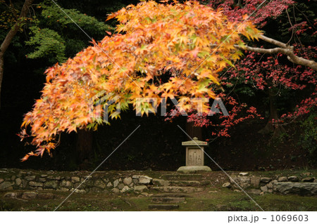正暦寺のお地蔵さまと楓(横位置) 正暦寺のお地蔵さまと楓(横位置) 1069603