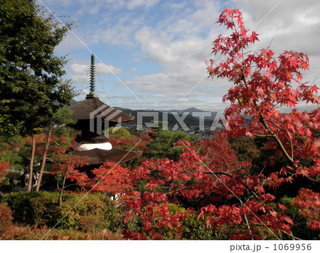 常寂光寺の紅葉 常寂光寺の紅葉 1069956