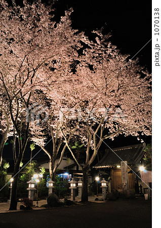 夜桜 1070138