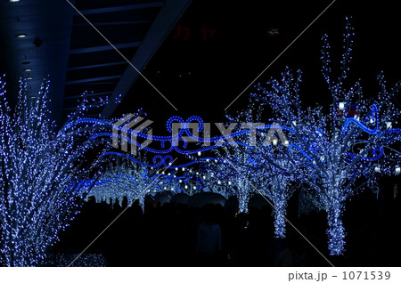 イルミネーション 1071539