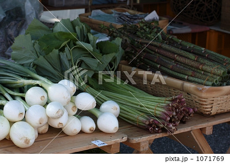 春野菜 1071769