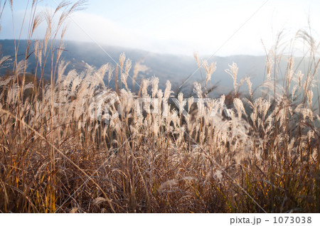 すすき原 1073038