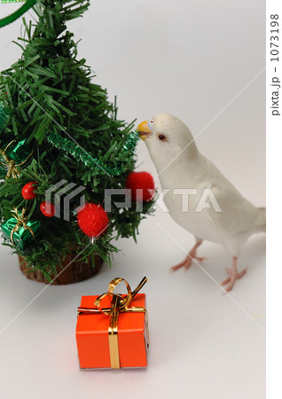 無題 無題 1073198