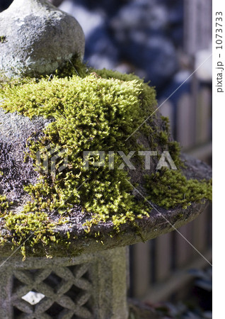 石灯籠 石灯籠 1073733