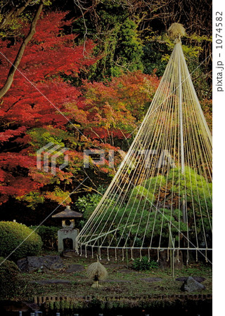 新江戸川公園の紅葉 新江戸川公園の紅葉 1074582