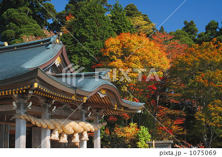 秋葉神社の秋4 秋葉神社の秋4 1075069