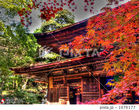 定光寺 紅葉 もみじの写真素材