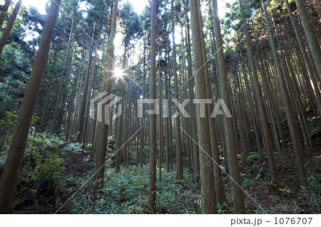 林道 林道 1076707