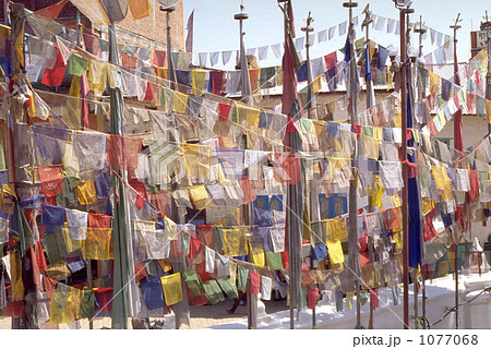 ボダナートの旗 1077068