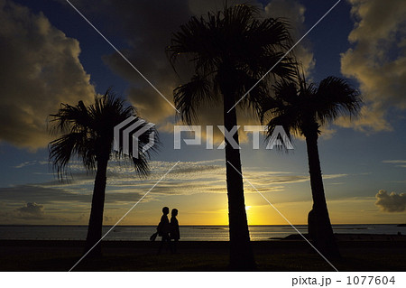 南国の下校 1077604