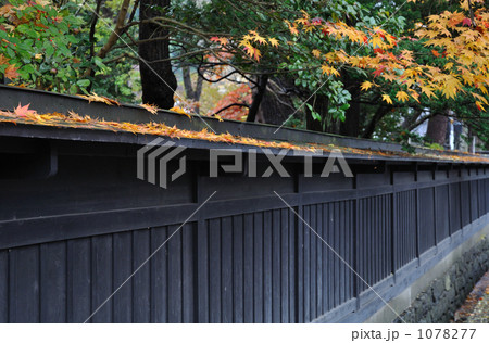 角館散歩・田町武家屋敷　黒塀 1078277