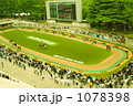 パドック 1078398