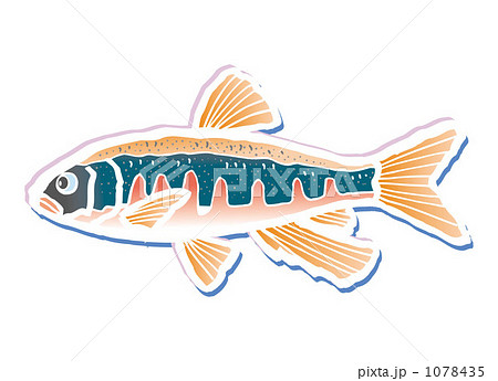 オイカワ　20091119＿18 1078435