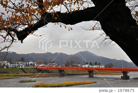 角館散歩・晩秋の桧木内川 角館散歩・晩秋の桧木内川 1078675