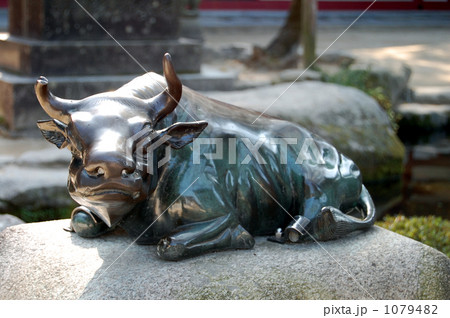 太宰府天満宮の神牛、境内 太宰府天満宮の神牛、境内 1079482