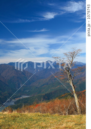 奥大井の秋１ 1079743