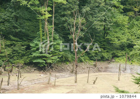 土砂災害 土砂災害 1079844