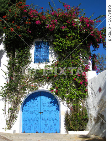 シディ・ブ・サイド　ブーゲンビリアと白壁 1079895