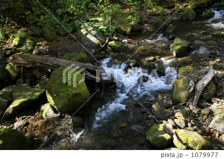 小川のせせらぎ 1079977