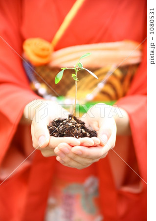 二十歳の選択 二十歳の選択 1080531