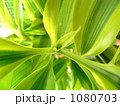 1080703
