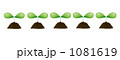 芽生え、ECO 1081619