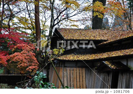 角館散歩・武家屋敷通り 小田野家 角館散歩・武家屋敷通り 小田野家 1081706