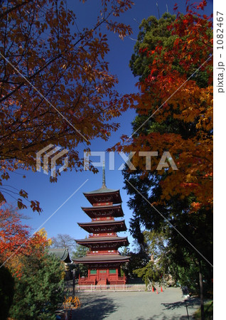 青空と五重塔 1082467