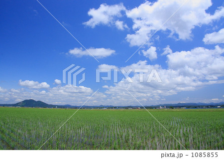 秋田平野の田園風景 1085855
