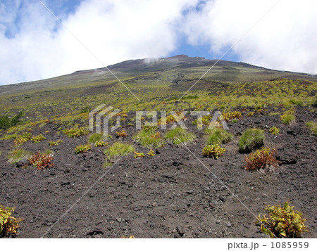 富士山 1085959