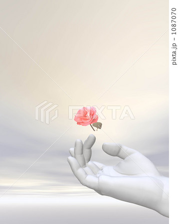 花と手 1087070