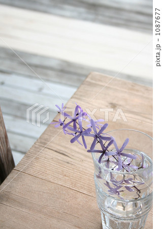 テーブルの上の小さな花 1087677