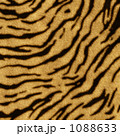 トラ柄　実写より使える、超高解像度リアルCG 1088633