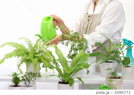 ライフスタイル-ガーデニング 1 ライフスタイル-ガーデニング 1 1090771