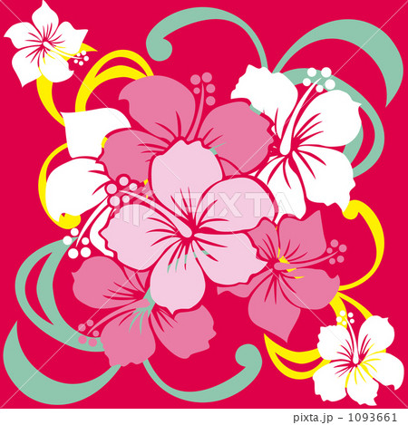 Hibiscus Hibiscus 1093661