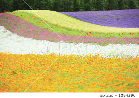 花畑 1094296