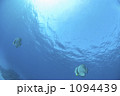 1094439