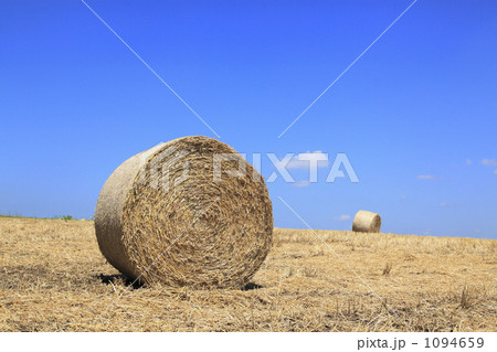 麦乾ロール 麦乾ロール 1094659