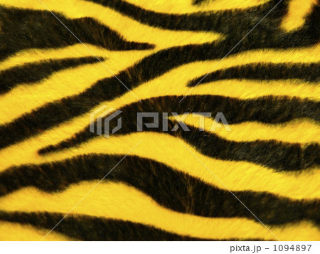 タイガー・パターン タイガー・パターン 1094897