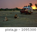 サファリツアー 1095300