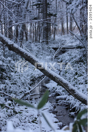 雪景色 雪景色 1095404
