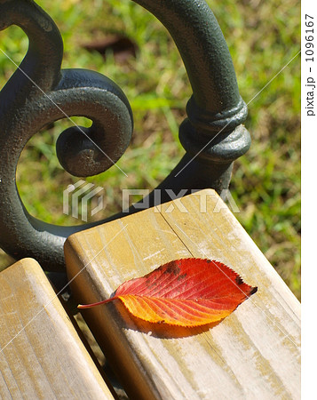 ベンチに落ち葉 1096167