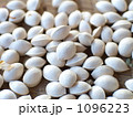 ぎんなん 1096223