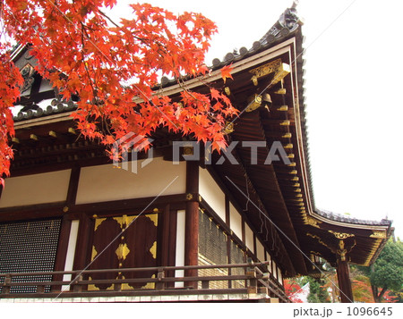 仁和寺の紅葉ー６ 1096645