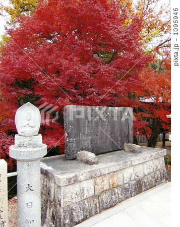寂光院紅葉 1096946