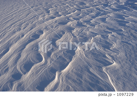 雪紋 雪紋 1097229