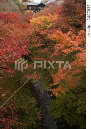 東福寺　2009 1097635